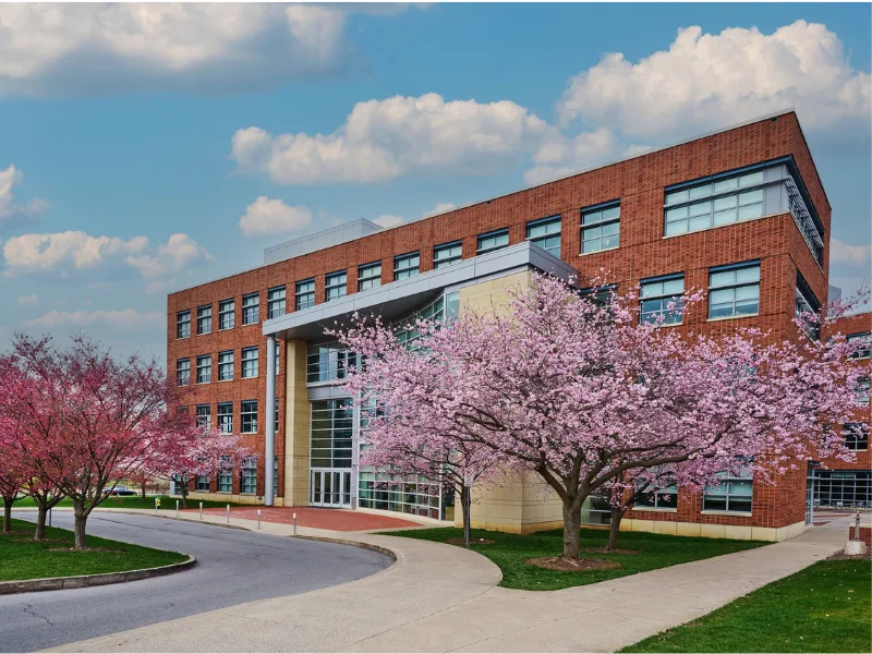 Smeal's Business Building with pink flowering trees in front