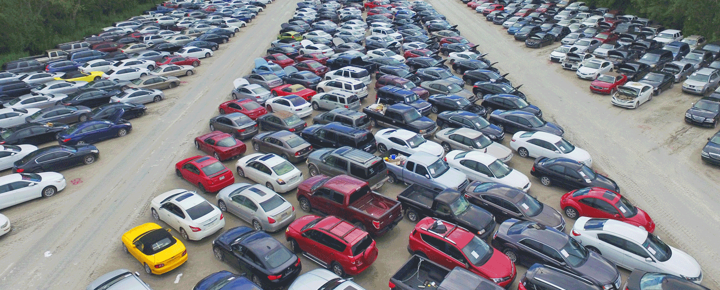 With IAA, you can use any of our auction channels to get the vehicles you need.