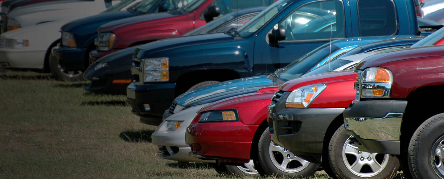 Fresh Insurance Inventory 