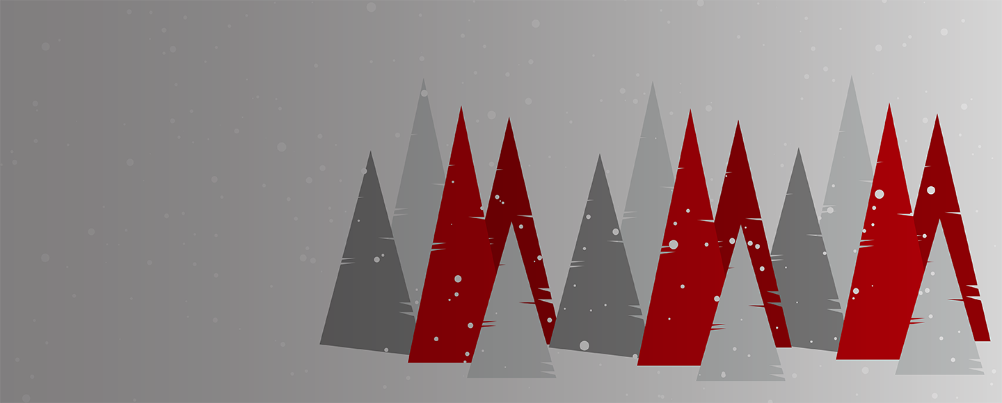 Salvage Cars for Sale IAA