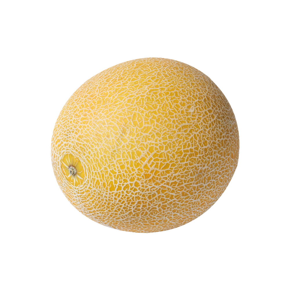 Galia Melon