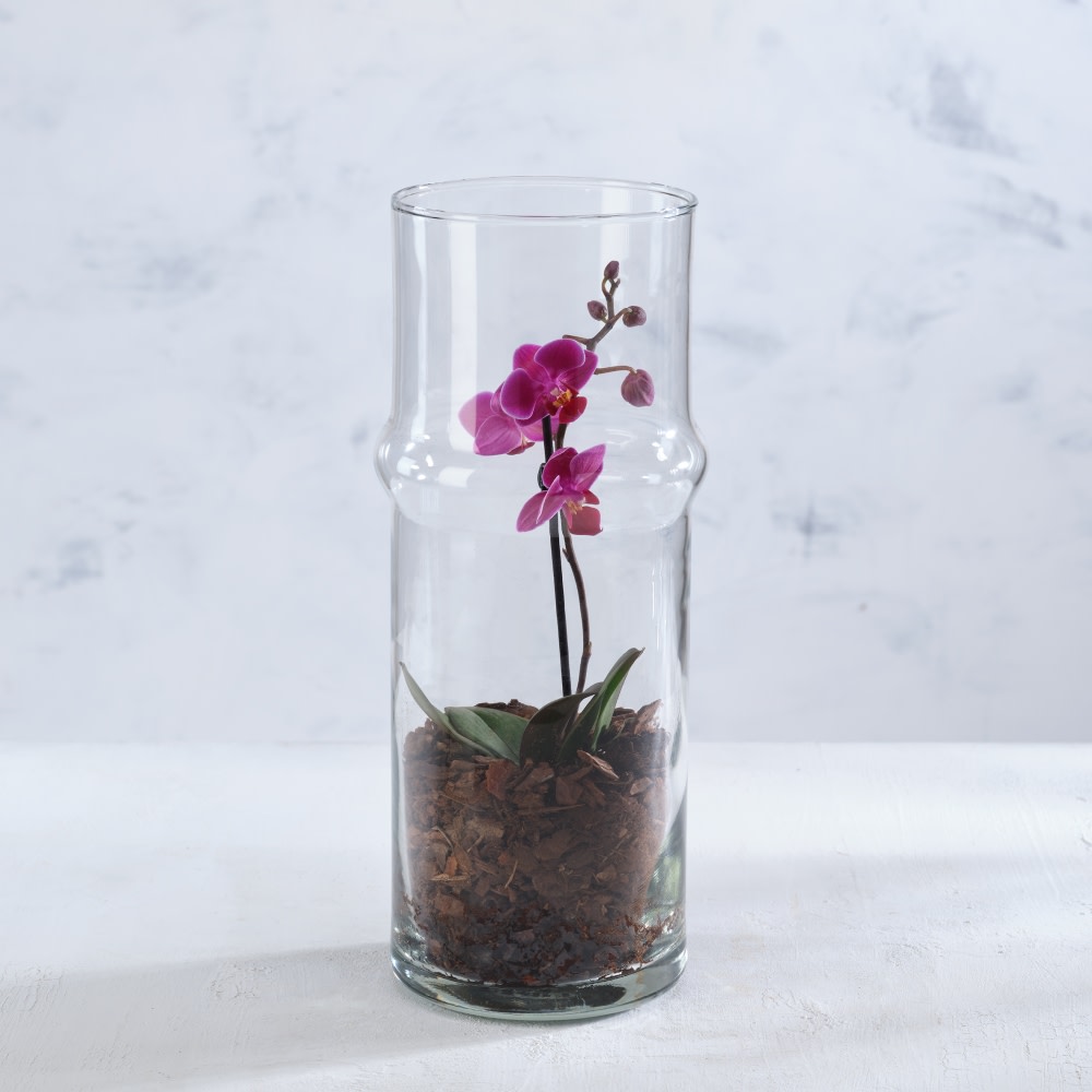 Orchid Vase