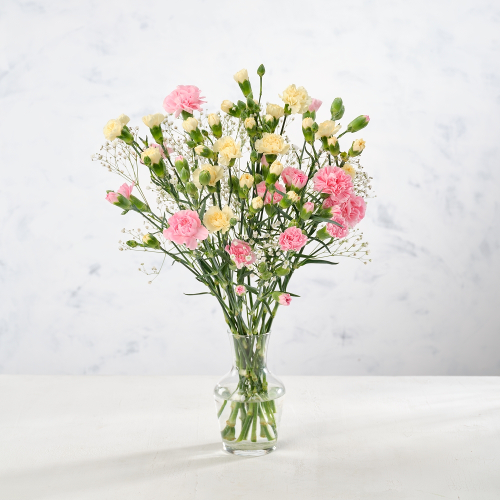 Easter Spray Carnations Bunch