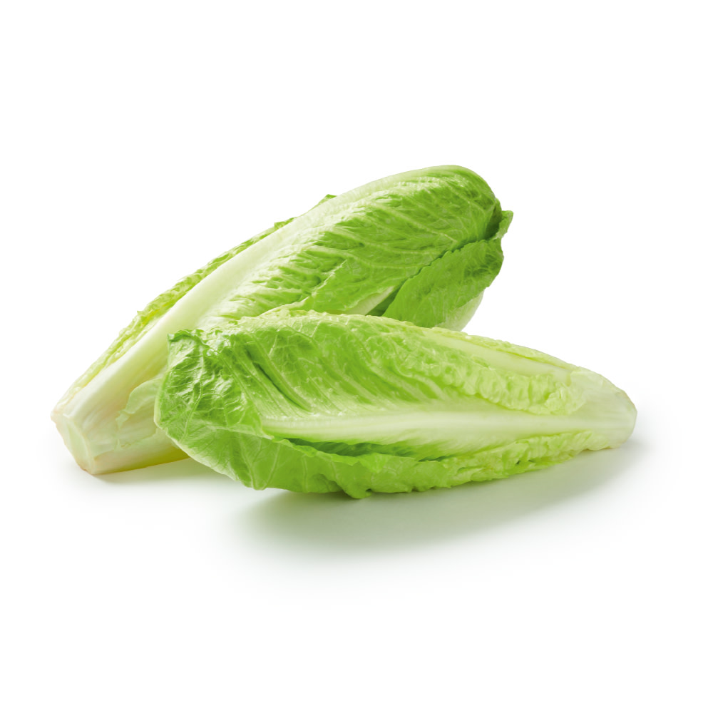 Co-op Sweet Romaine Lettuce 2 Pack