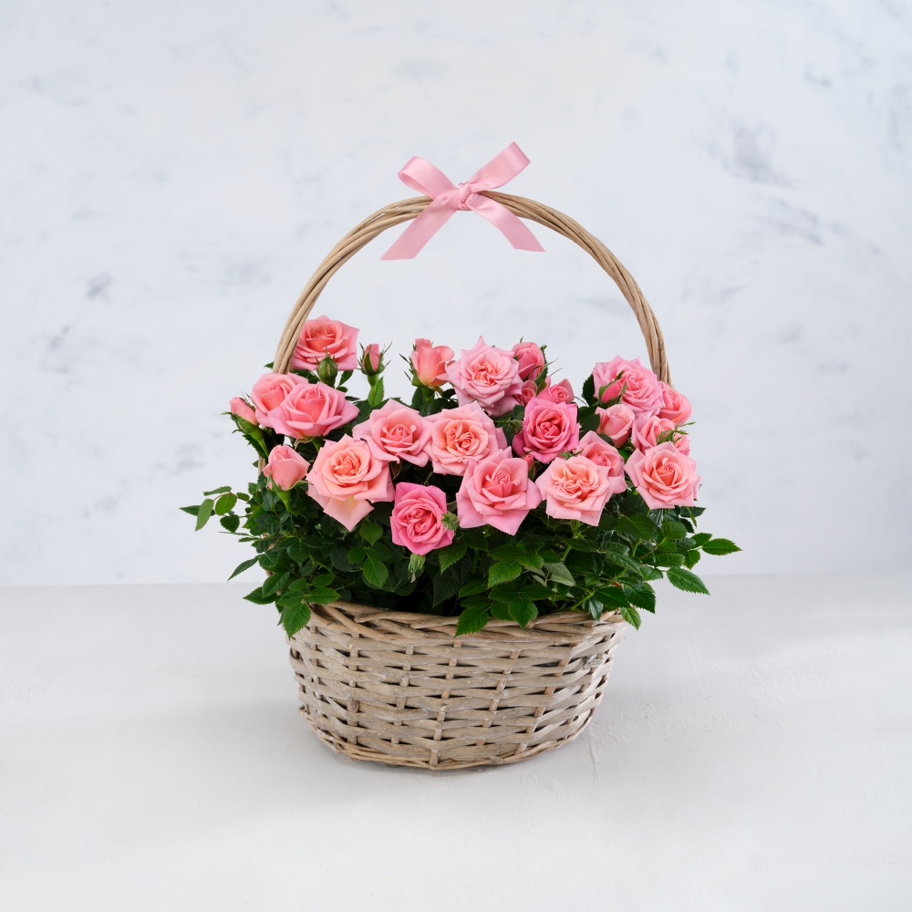 Basket of blooms 
