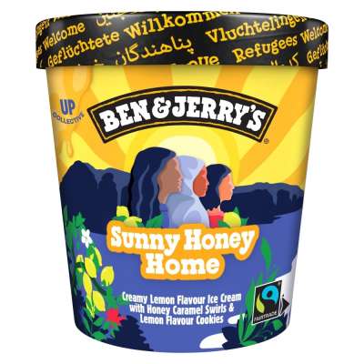 Ben And Jerrys Sunny Honey Home 465ml