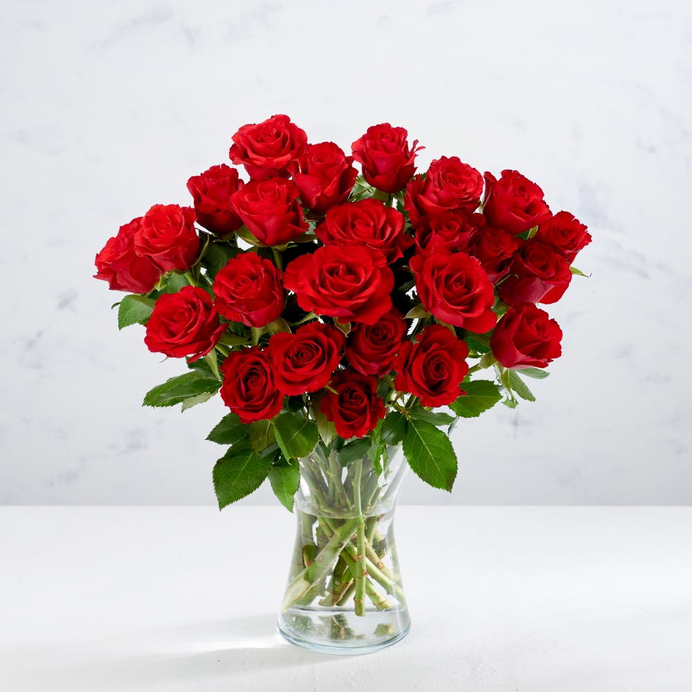 Co-op Irresistible Valentines Doze Bunch