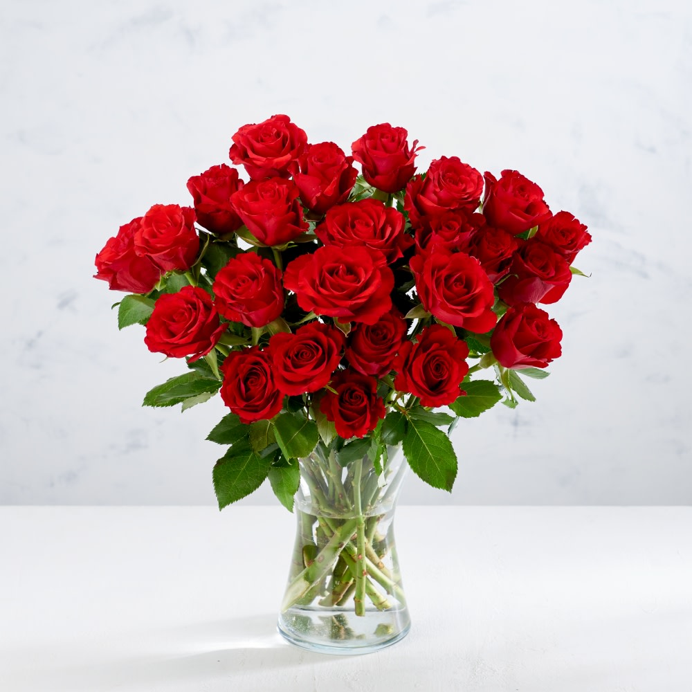 Co-op Irresistible Valentines Doze Bunch