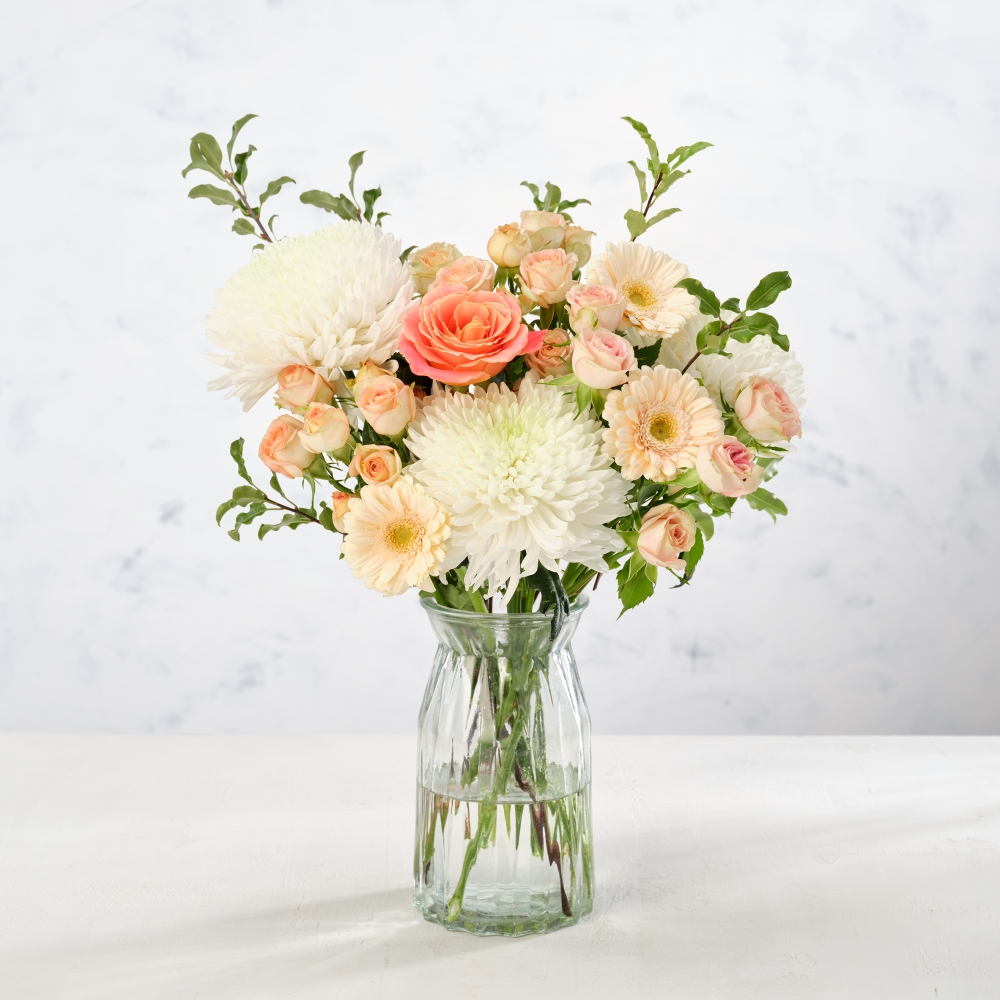 Pink Delight/Peach Delight