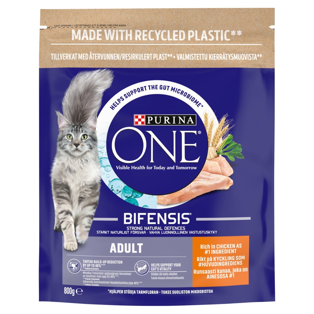 Purina One Senior 7+ Mini Fillets Chicken And Beef Wet Cat Food