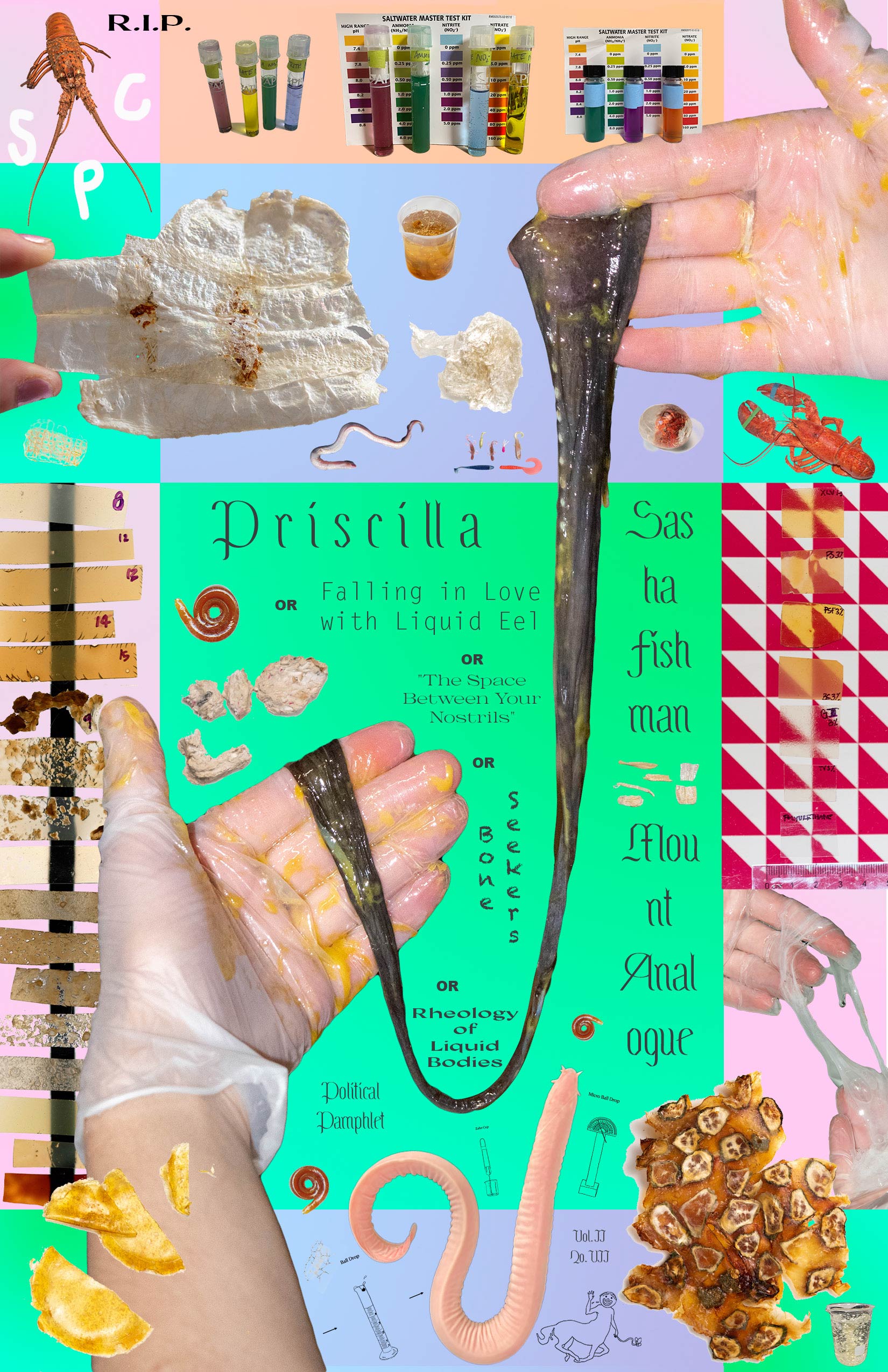 Priscilla, or Falling in Love with Liquid Eel