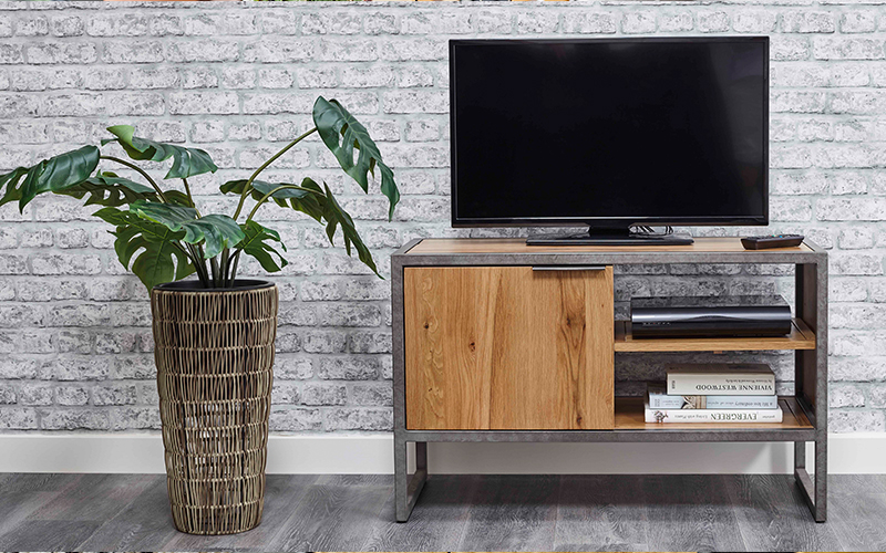 industrial style tv stand with large indoor plant