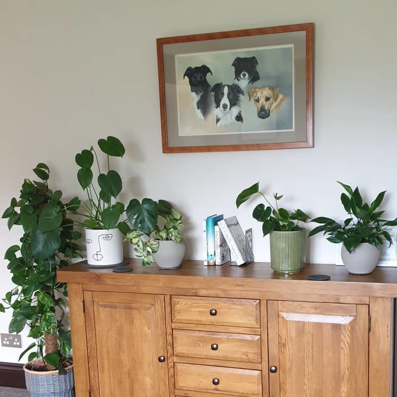 Large rustic oak sideboard styled with houseplants