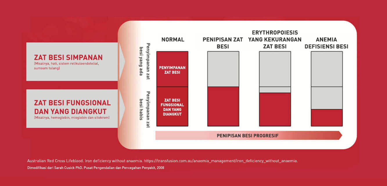 Zat besi simpanan