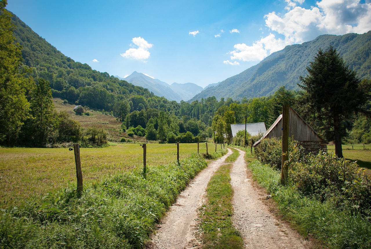 The Faja de las Flores is a trail located in the heart of the