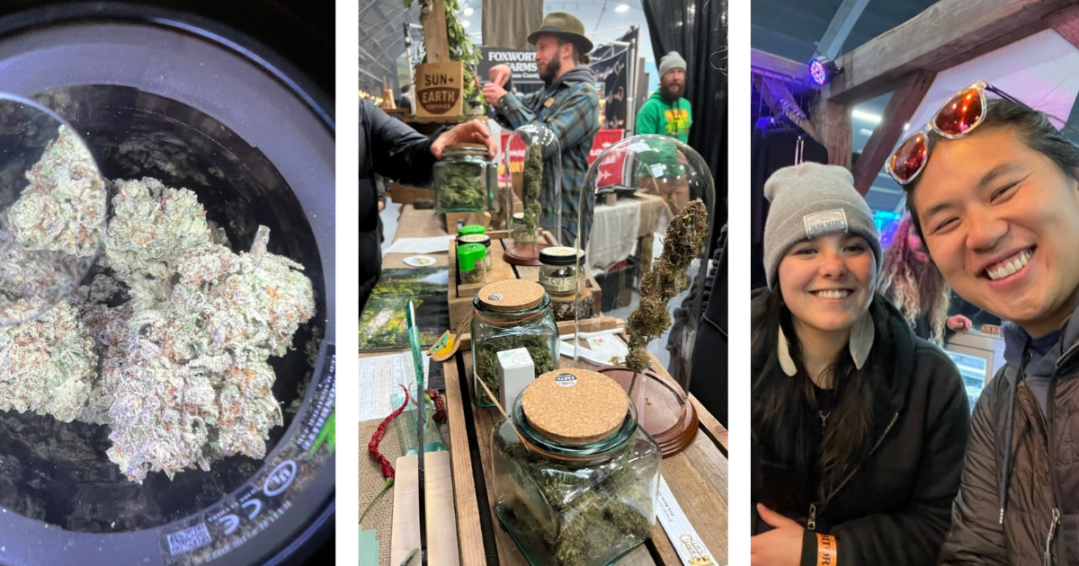 Craft Cannabis Emerald Cup Santa Rosa
