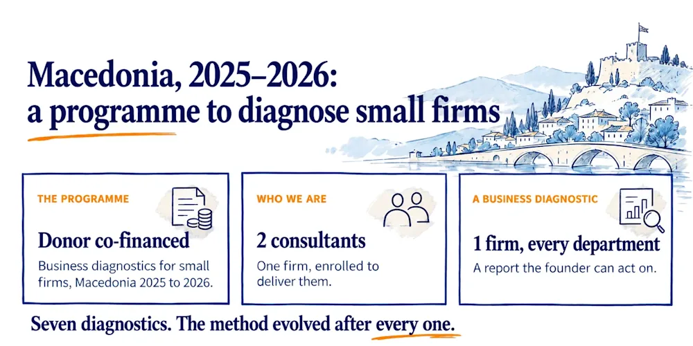 A banner with a hand-drawn hillside town and stone bridge sits above three boxes: a donor programme, two consultants from one firm, and a diagnostic of one firm across every department.