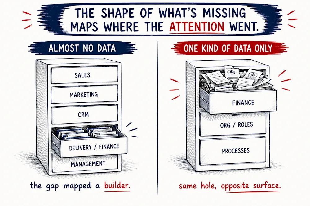 The shape of what is missing maps where the attention went - one business with almost no data except finance and delivery, the other drowning in financial data but empty on org, roles and processes.