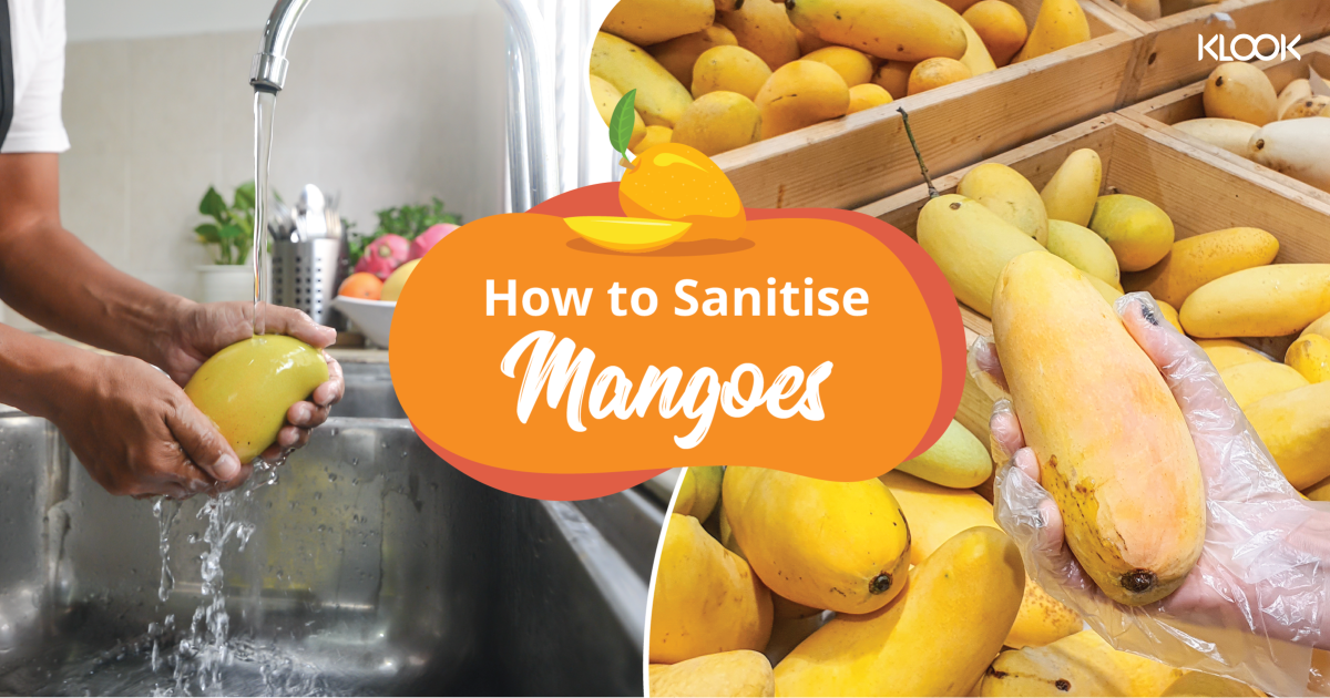 How To Clean Mangoes During The COVID Pandemic Klook Travel Blog