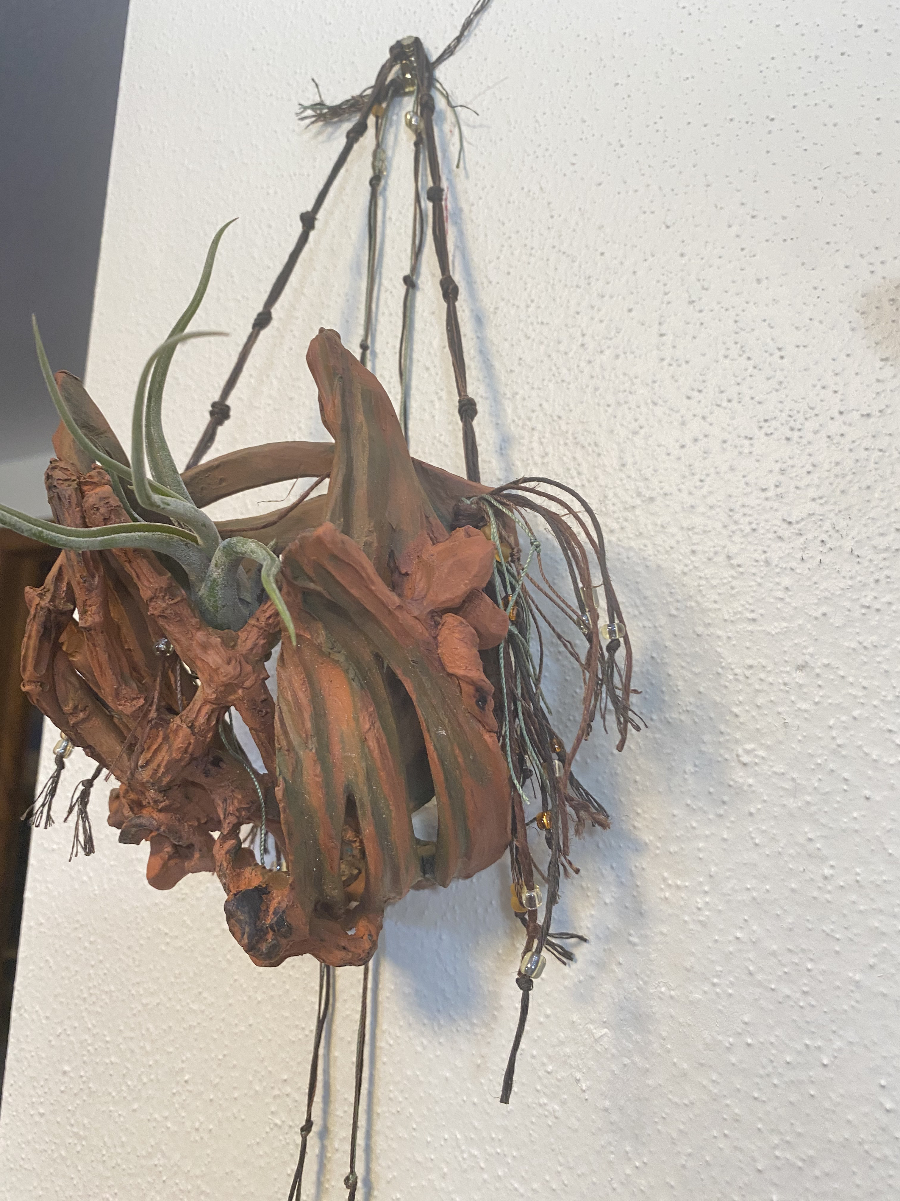 Handmade Terracotta Orchid Wall Sconce with Air Plant Holder - Image 2