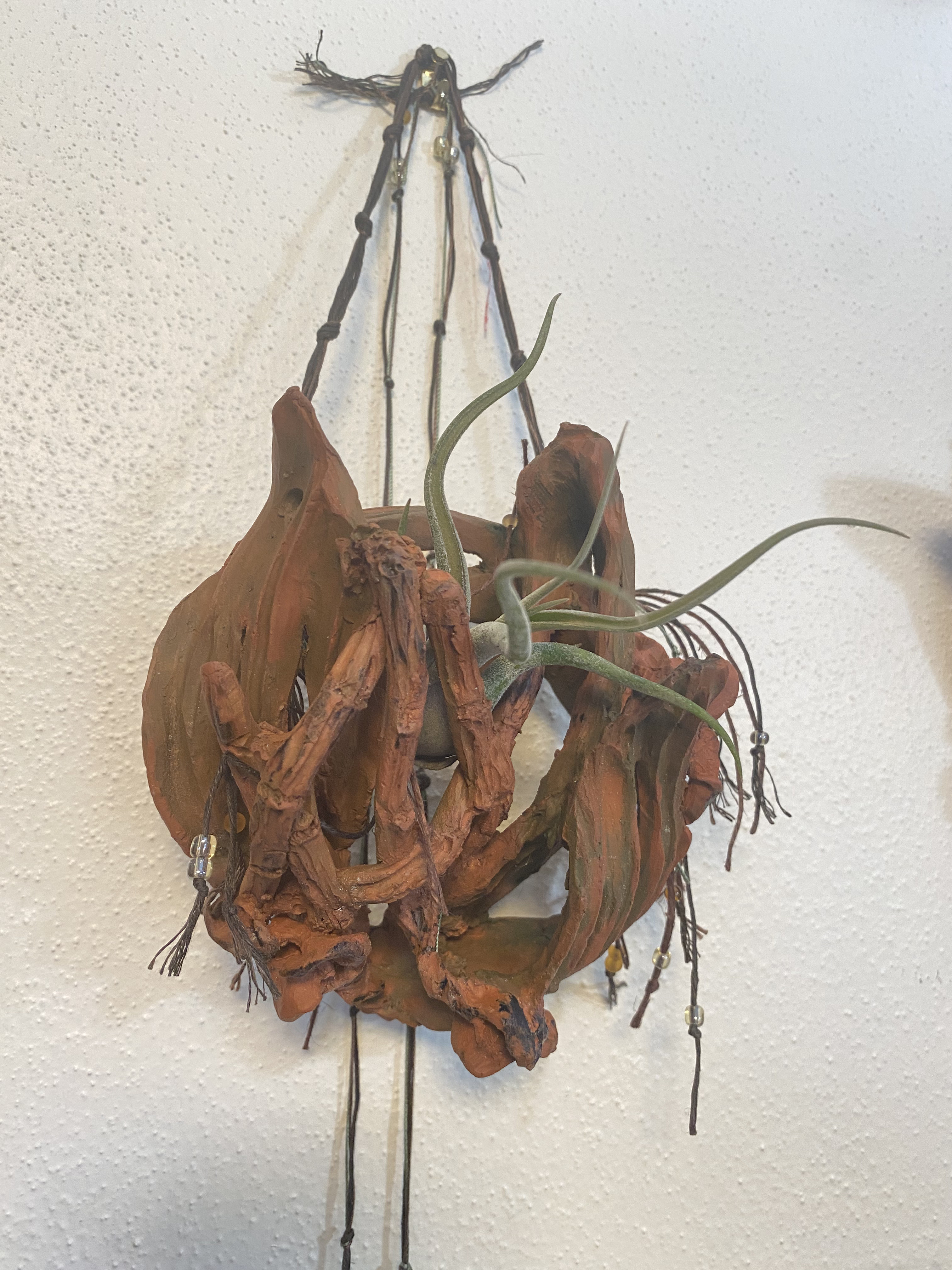 Handcrafted Terracotta Orchid Wall Sconce and Air Plant Holder - Image 2