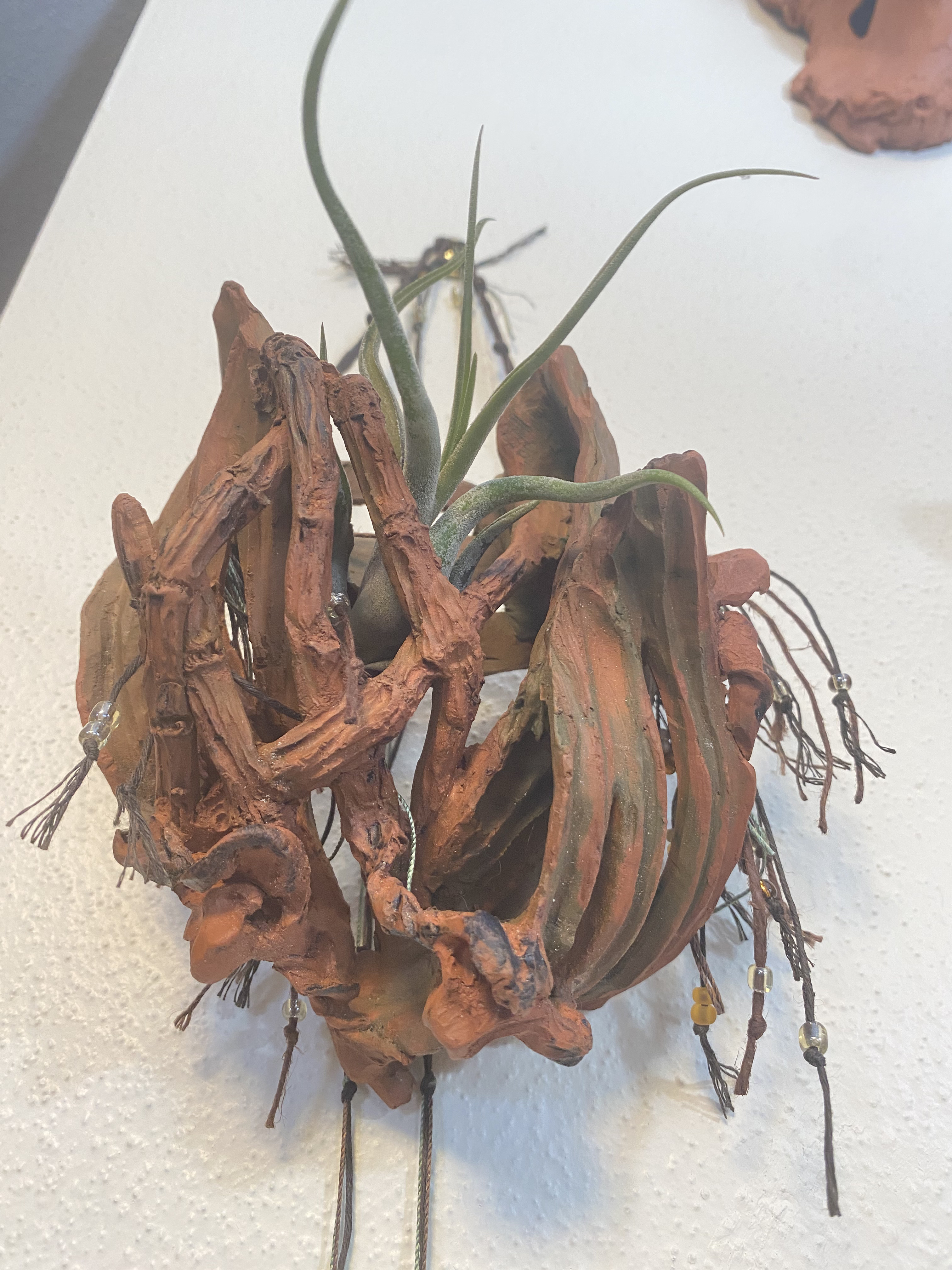 Handcrafted Terracotta Orchid Wall Sconce and Air Plant Holder - Image 3