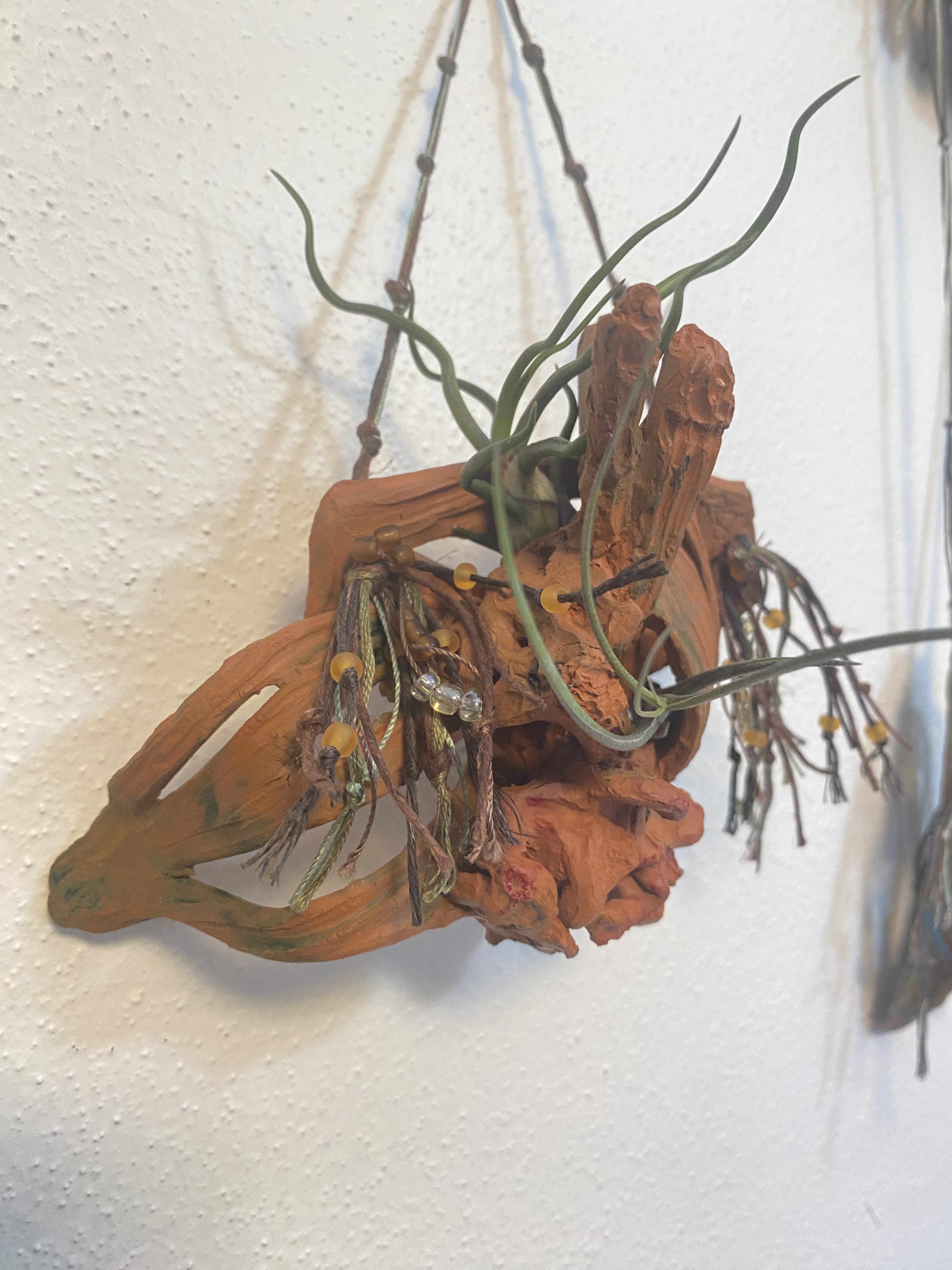 Hand-Sculpted Terracotta Orchid Wall Sconce for Air Plants, 6x7 IN