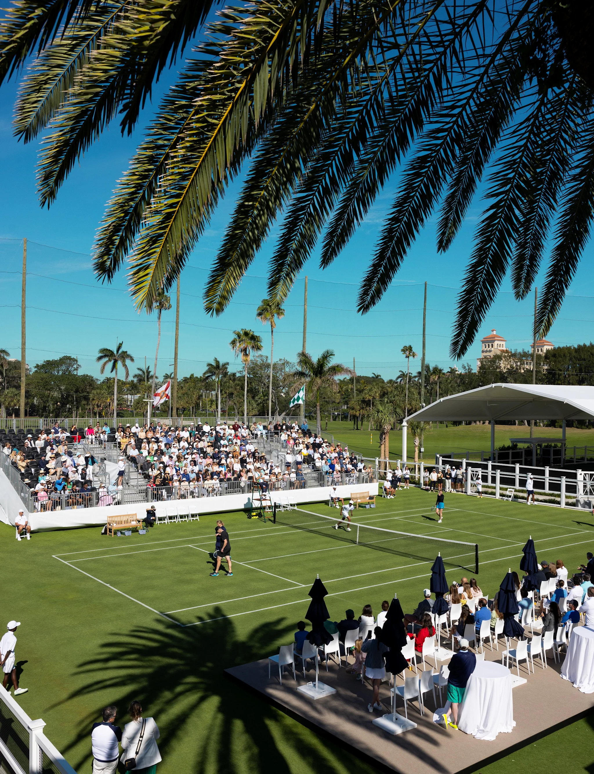 Outdoor tennis courts with spectators under palm trees and blue sky at a sunny tournament venue.