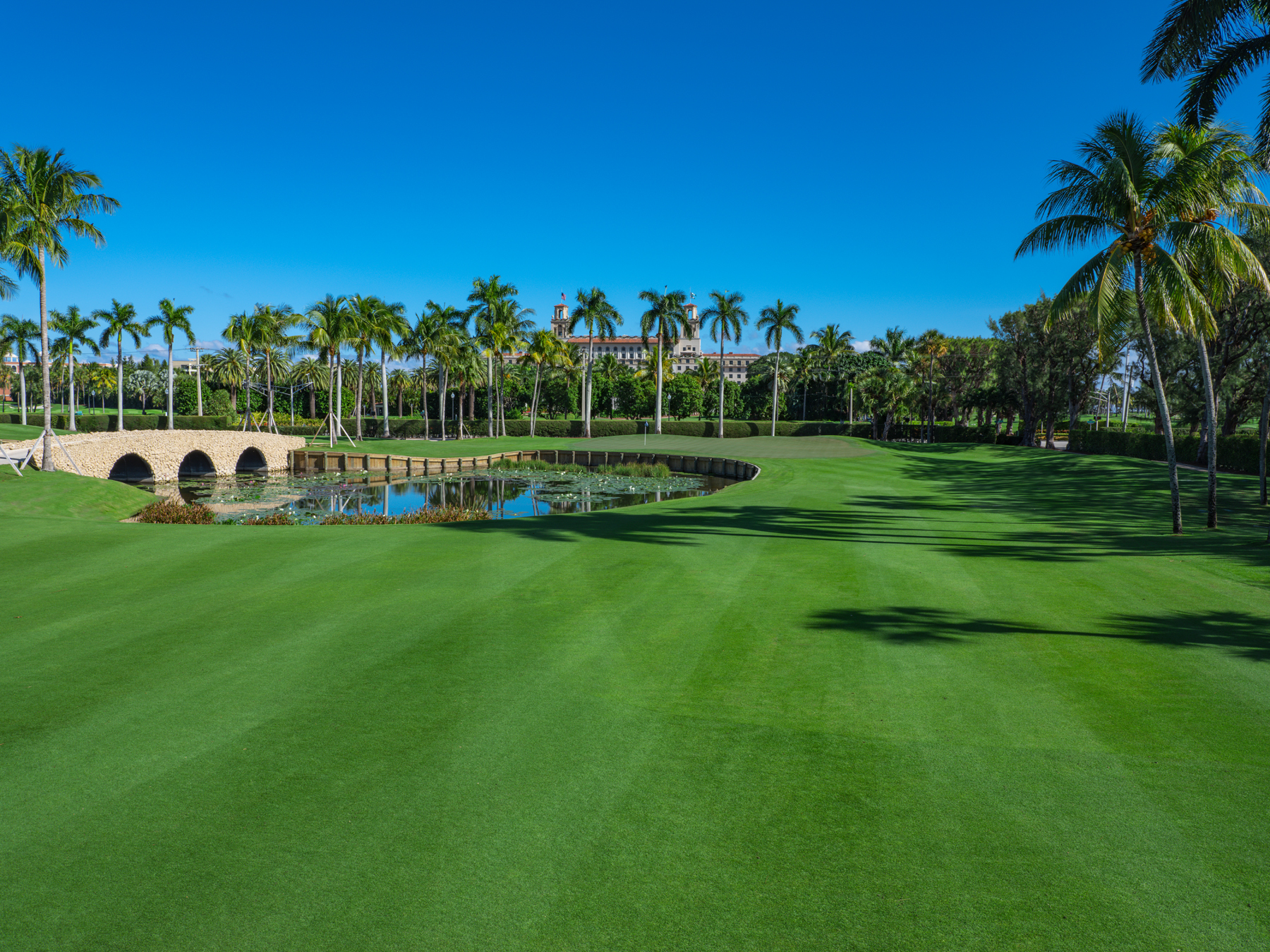 Lush green golf course with stone bridge over pond, lined with tall palm trees under clear blue sky.