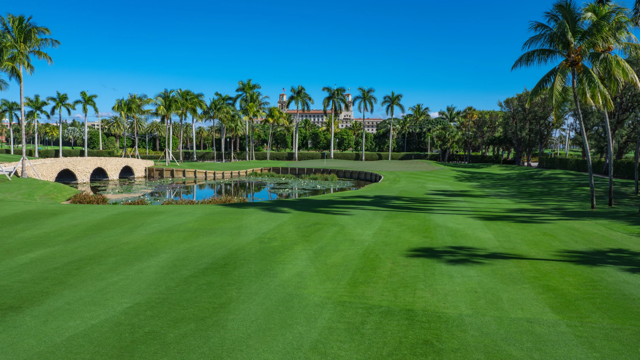 Lush green golf course with stone bridge over pond, lined with tall palm trees under clear blue sky.