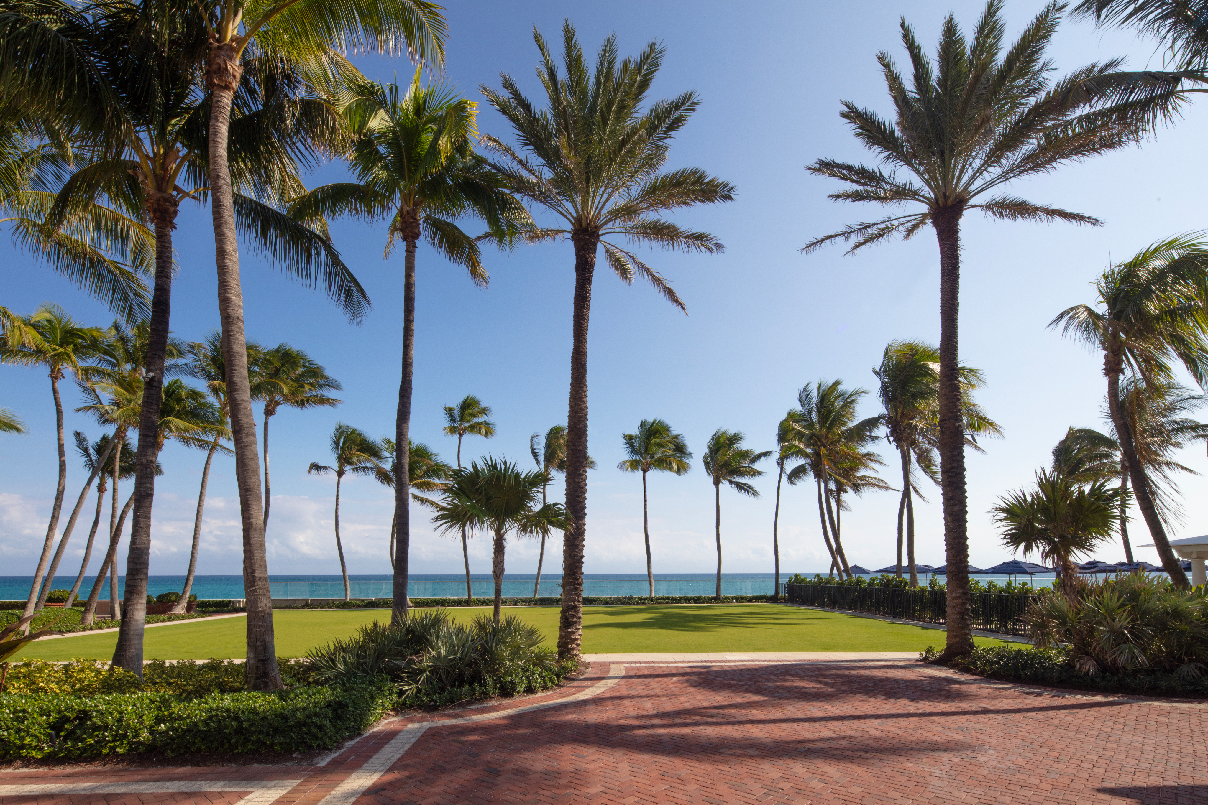 Tall palm trees line a brick pathway with green lawn and turquoise ocean under blue sky at resort.