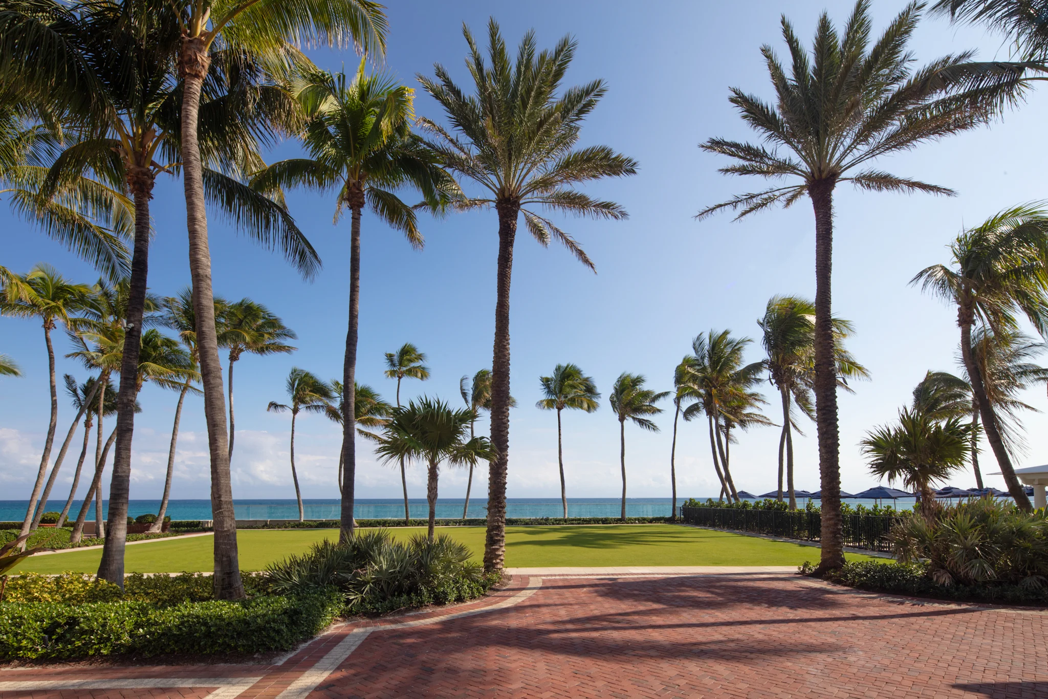 Tall palm trees line a brick pathway with green lawn and turquoise ocean under blue sky at resort.