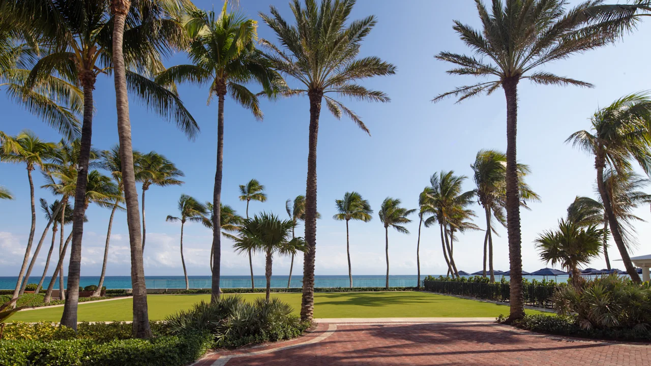 Tall palm trees line a brick pathway with green lawn and turquoise ocean under blue sky at resort.