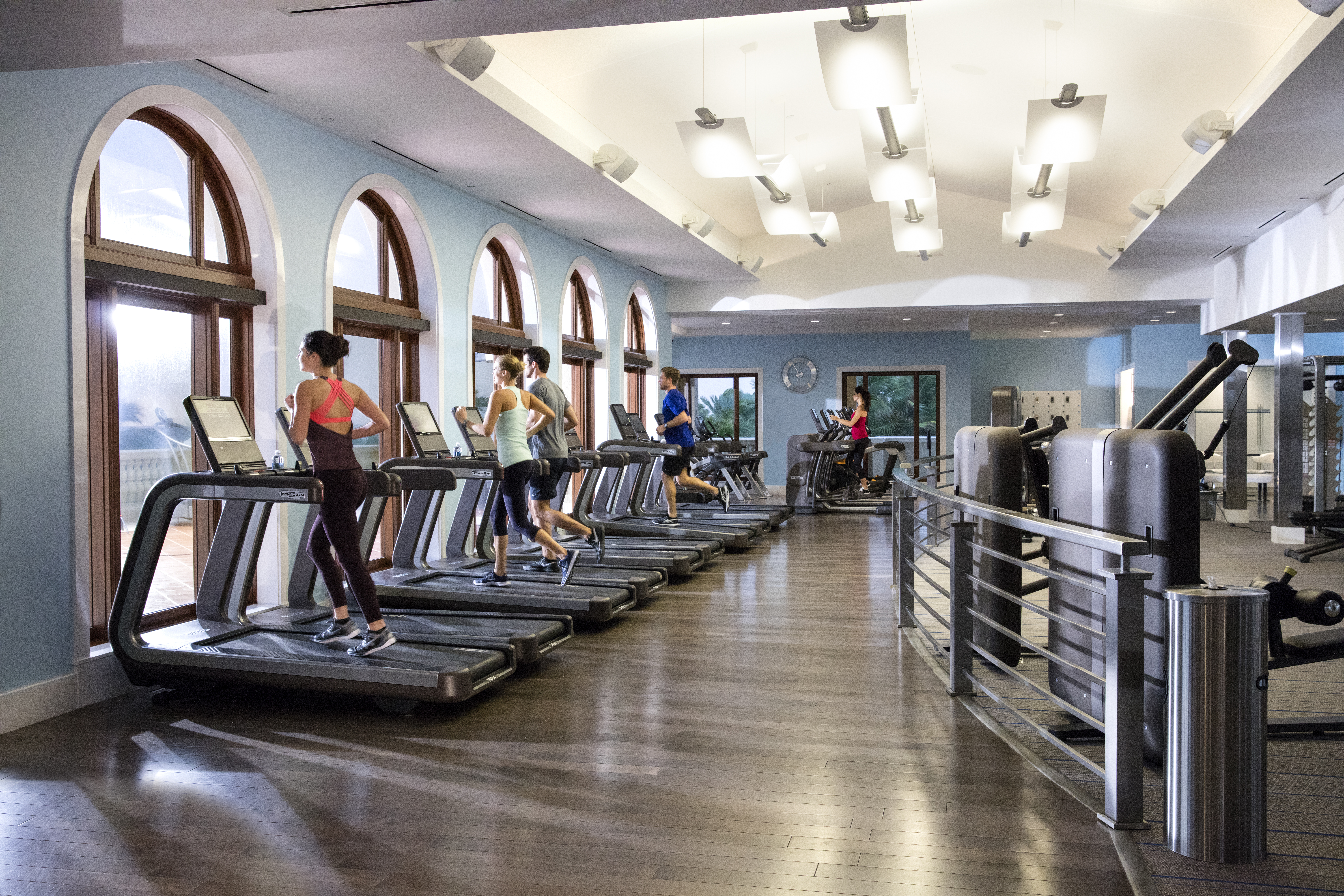 Modern fitness center with people on treadmills, blue walls, arched windows and exercise equipment.
