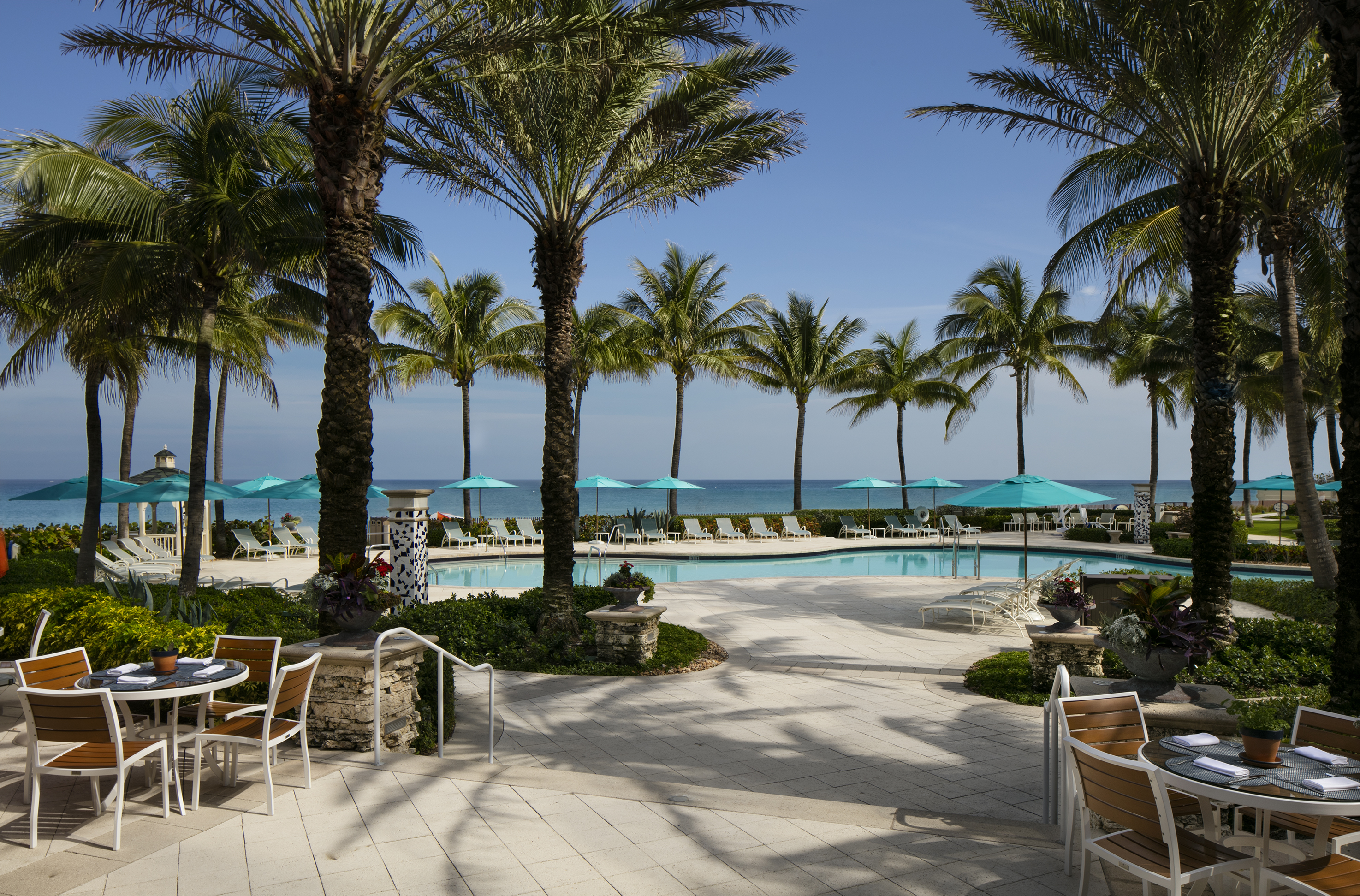 Tropical resort pool area with palm trees, turquoise umbrellas, lounge chairs, and ocean view.