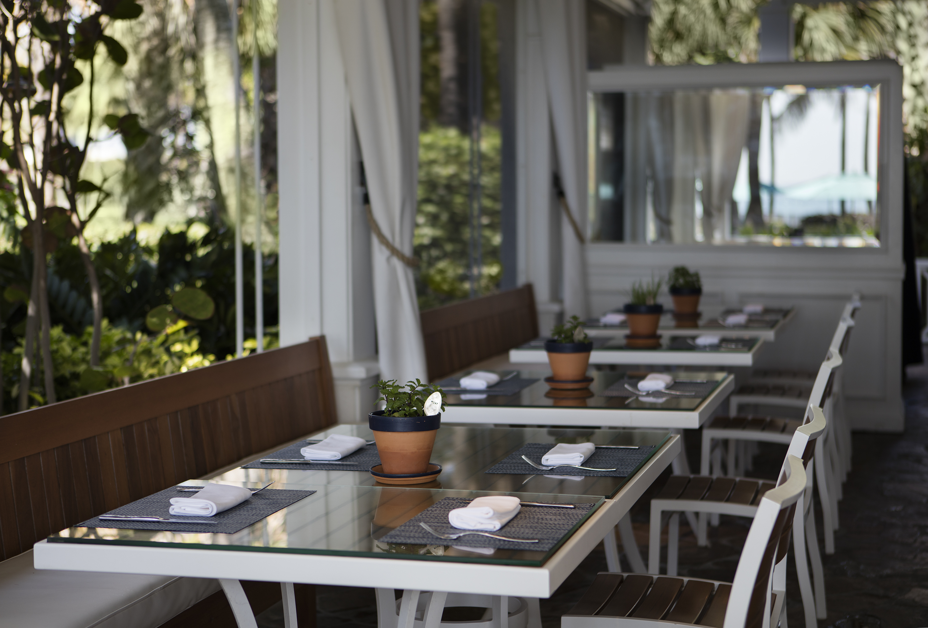 Outdoor restaurant tables with place settings, potted plants, and white curtains with ocean view.