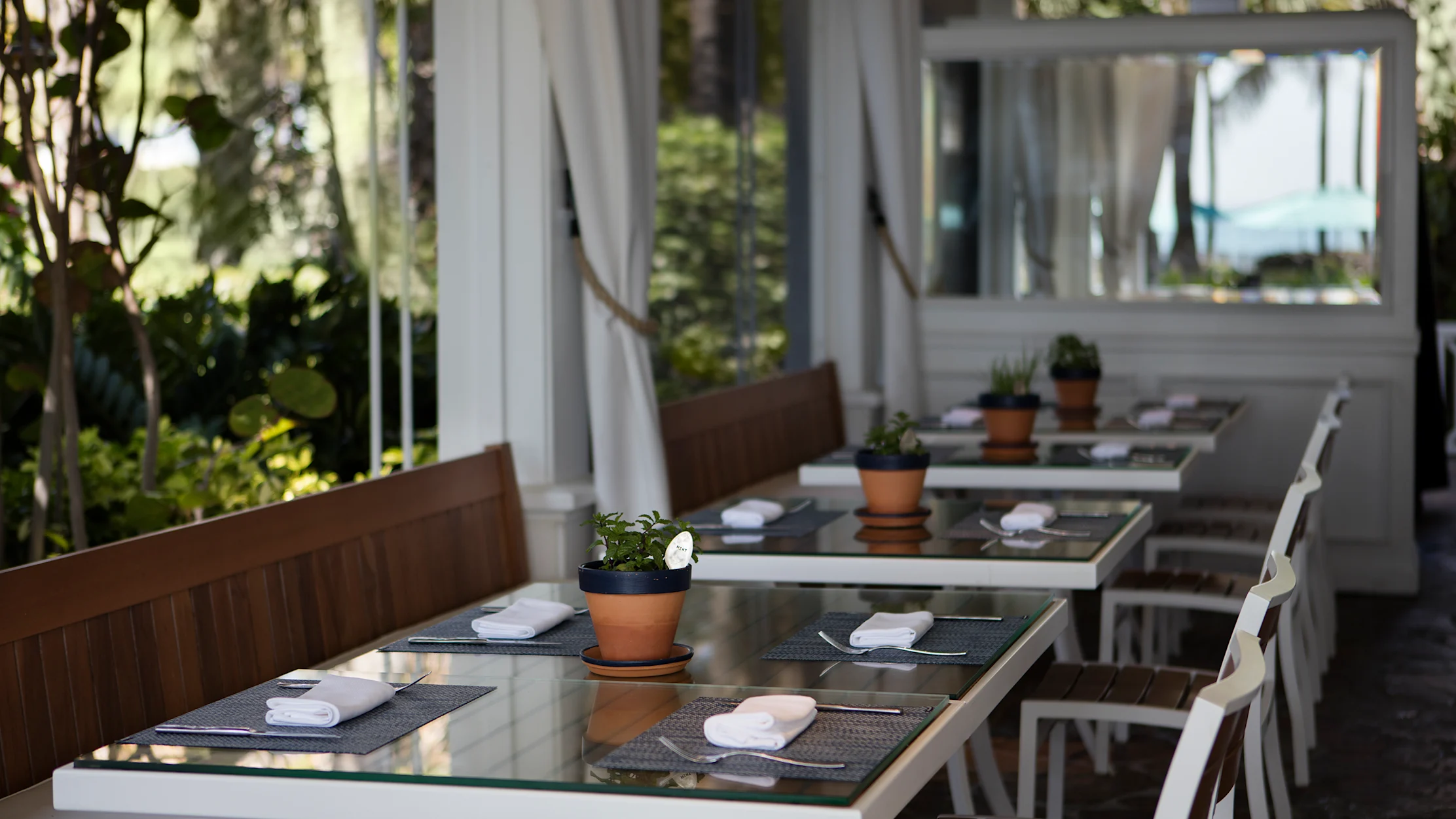 Outdoor restaurant tables with place settings, potted plants, and white curtains with ocean view.