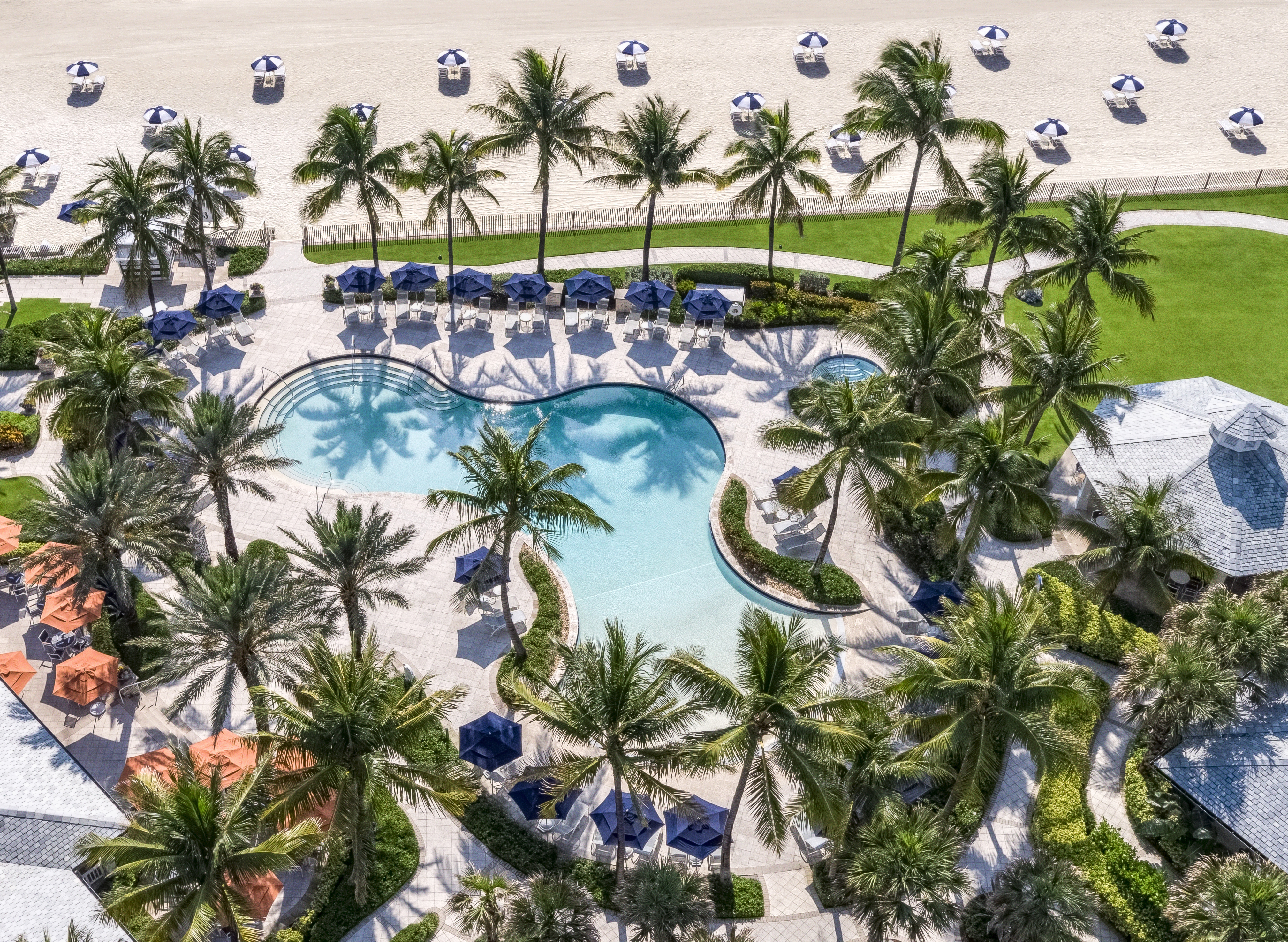 Aerial view of a resort pool surrounded by palm trees, blue umbrellas, and a sandy beach beyond.