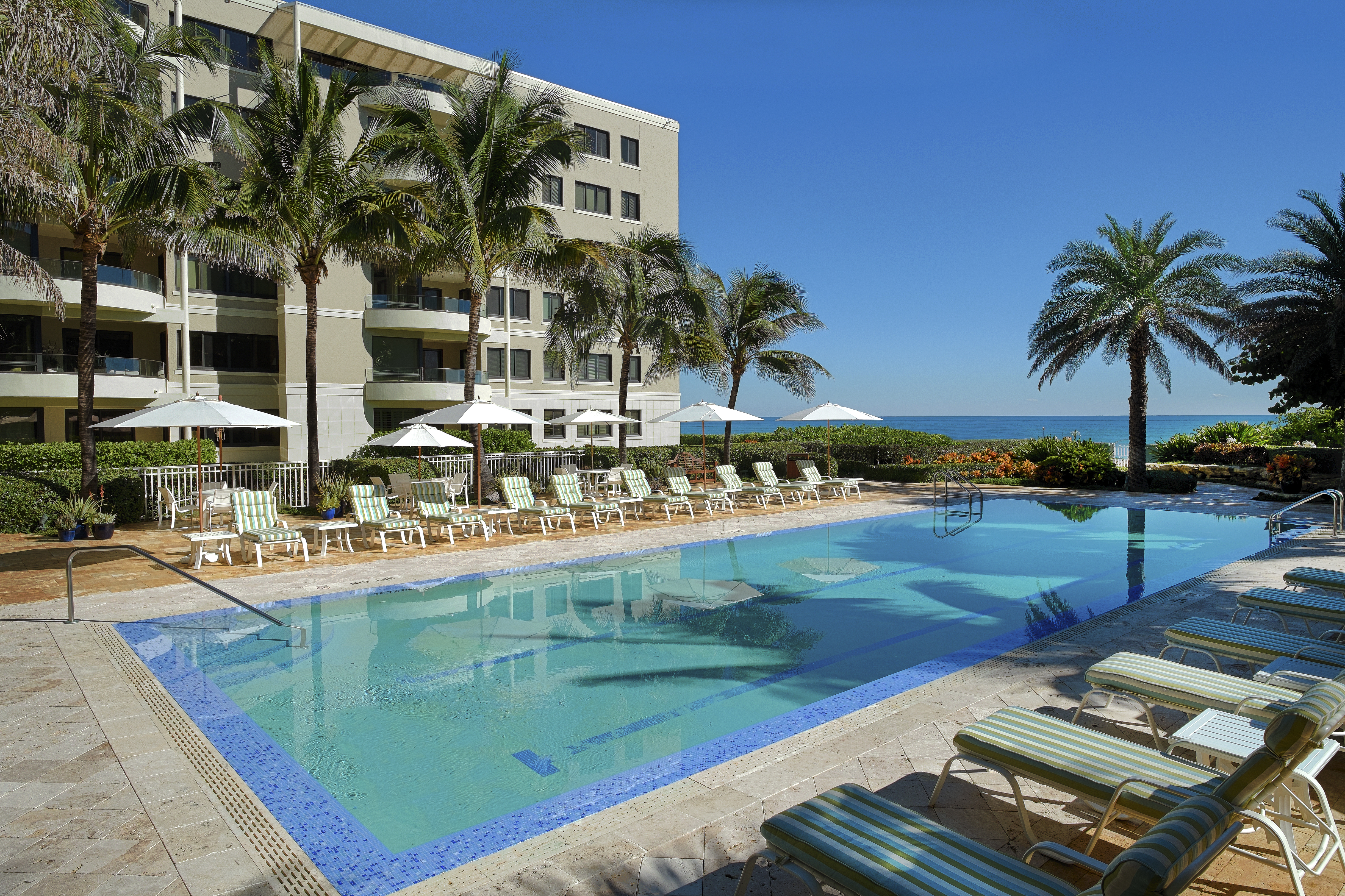 Beachfront resort pool with palm trees, lounge chairs, and ocean view under clear blue sky.