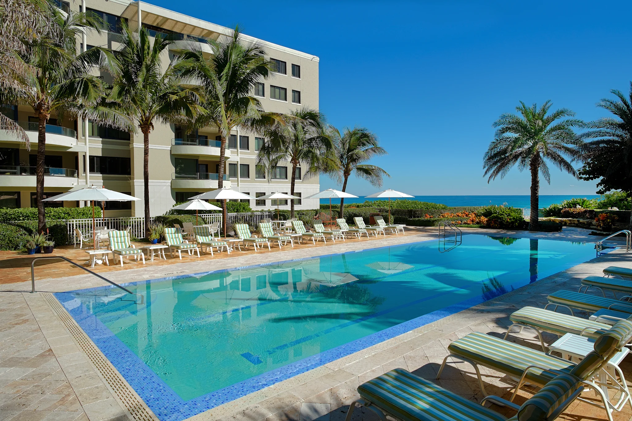 Beachfront resort pool with palm trees, lounge chairs, and ocean view under clear blue sky.