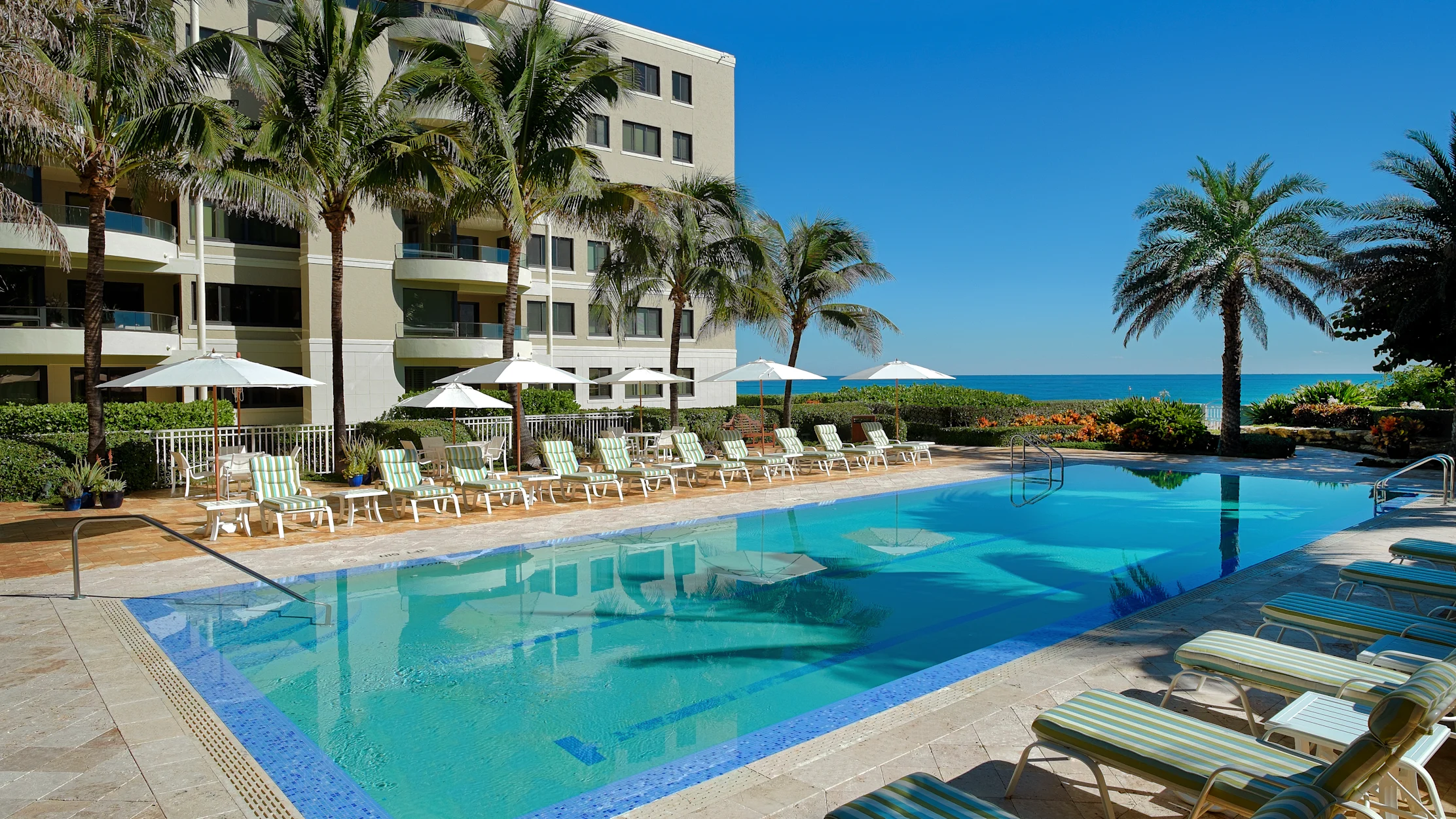 Beachfront resort pool with palm trees, lounge chairs, and ocean view under clear blue sky.