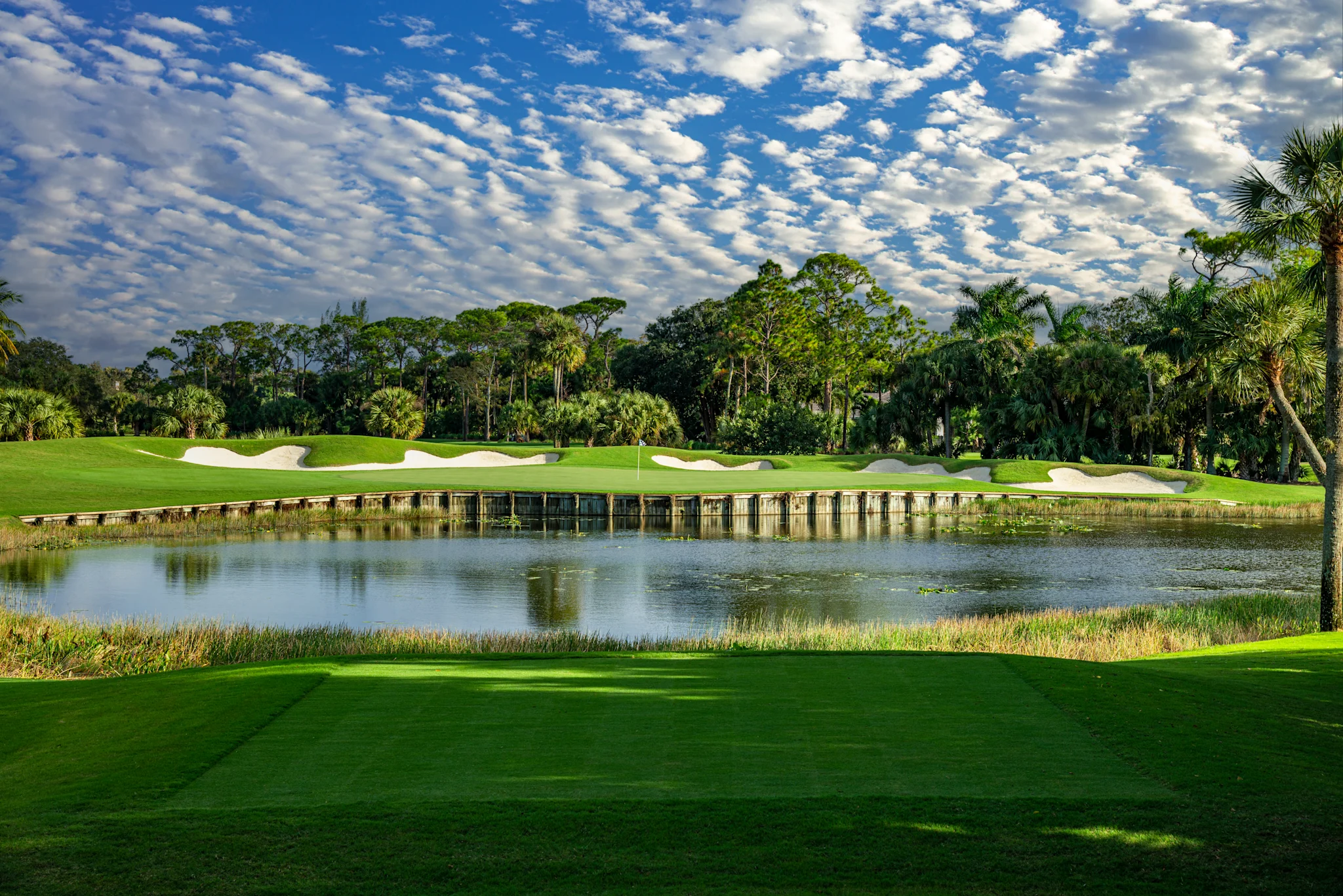Golf course with pond, white sand bunkers, green fairways, palm trees, and blue sky with clouds.