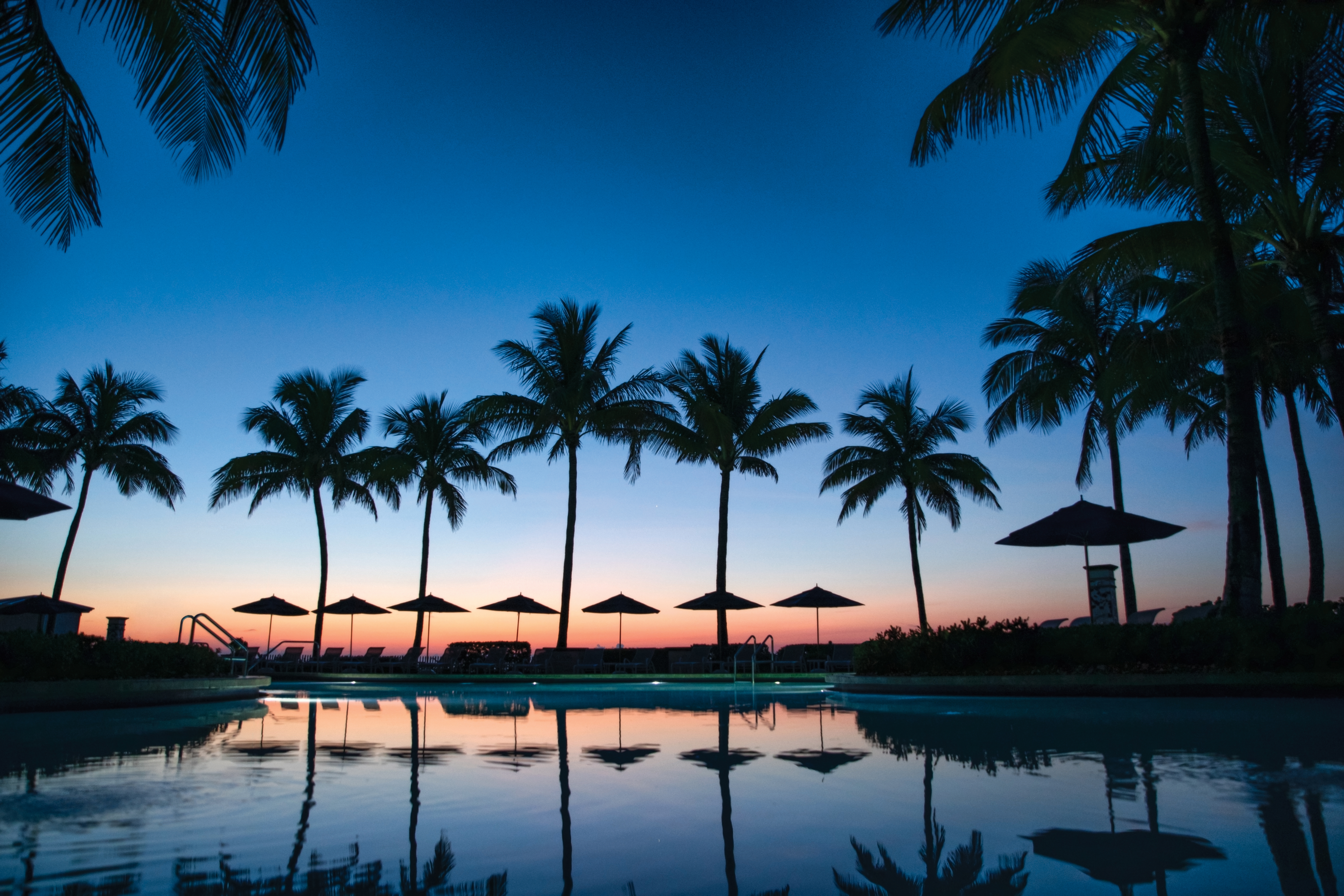 Tropical resort pool at dusk with palm tree silhouettes and umbrellas reflected in calm water.