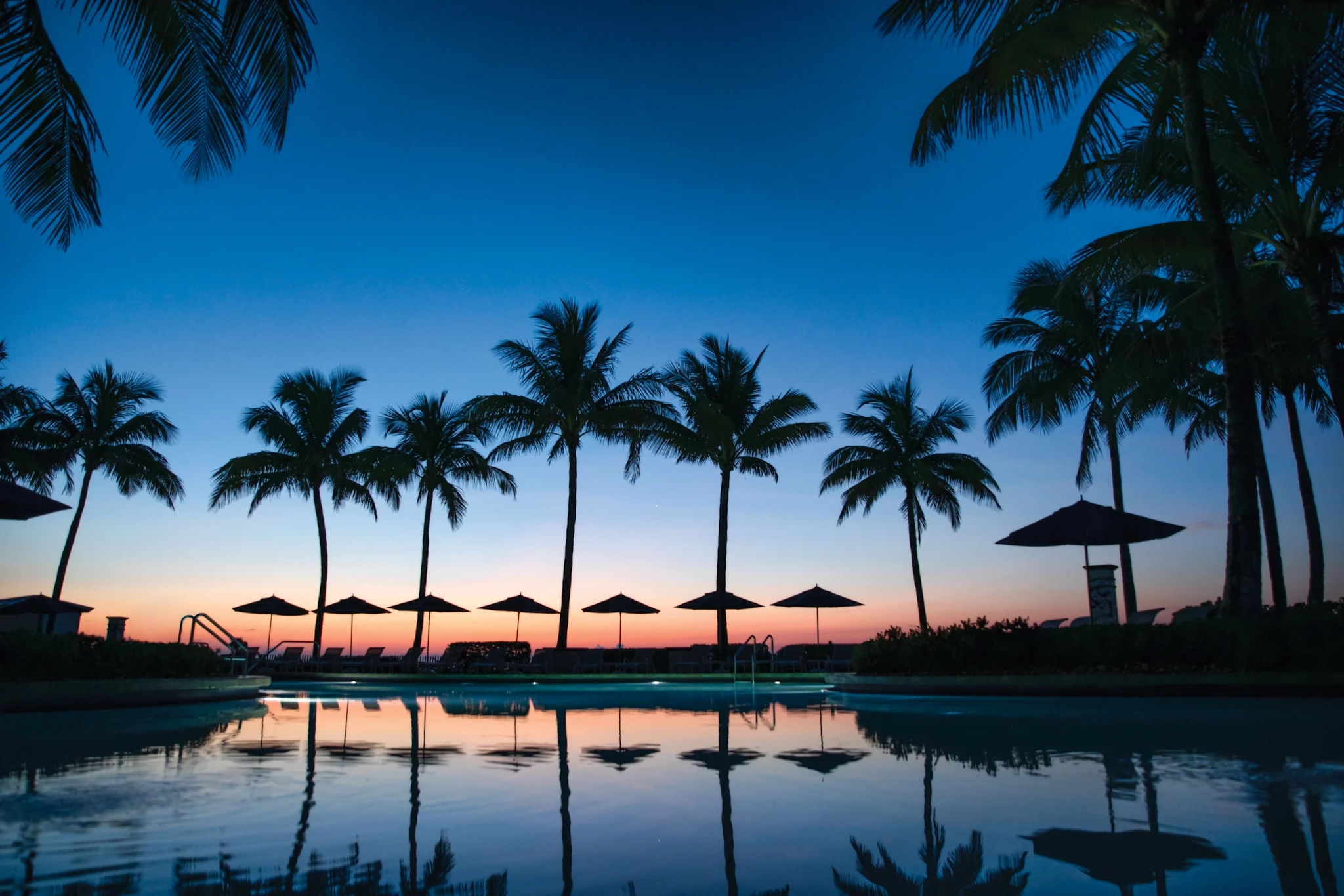 Tropical resort pool at dusk with palm tree silhouettes and umbrellas reflected in calm water.