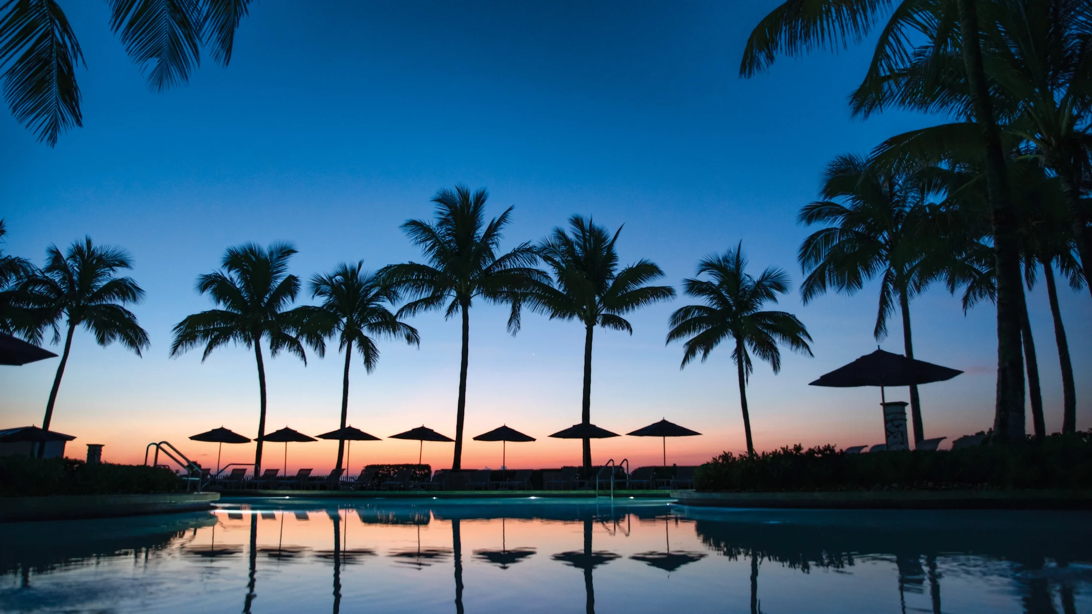 Tropical resort pool at dusk with palm tree silhouettes and umbrellas reflected in calm water.