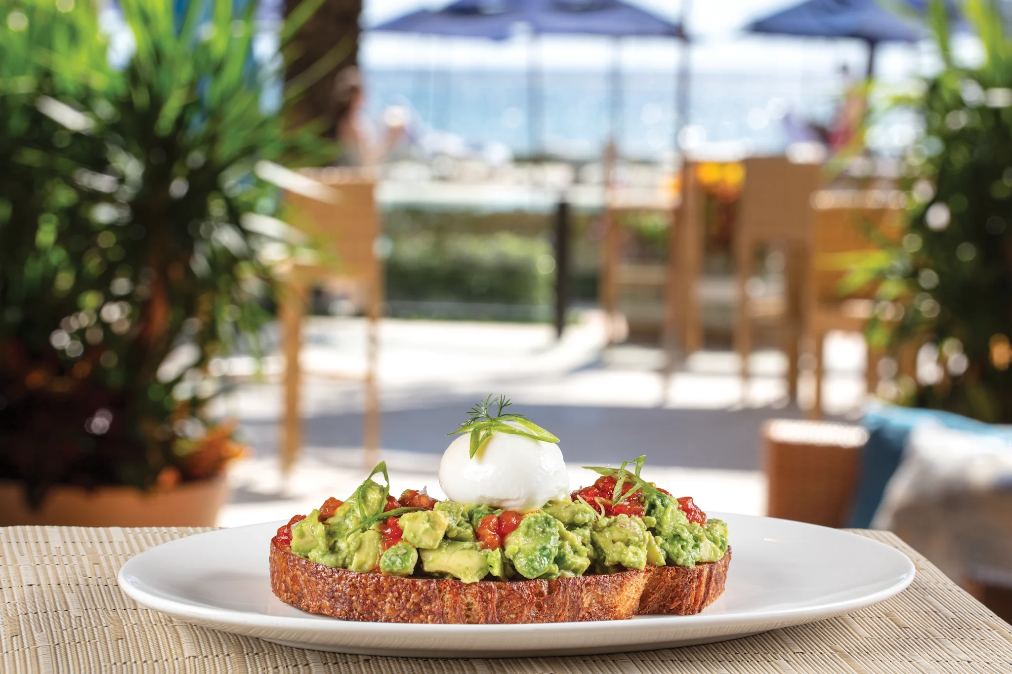 Avocado toast with poached egg and tomatoes on white plate at outdoor poolside restaurant setting