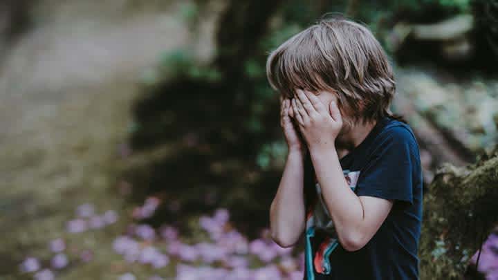 Todo sobre el bullying en la escuela