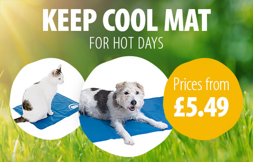 Get Pet Supplies At Zooplus Online Pet Shop Pet Food Pet Accessories For Android Free Get Wallpaper Pet Supplies At Zooplus Online Pet Shop Pet Food Pet Accessories For Free