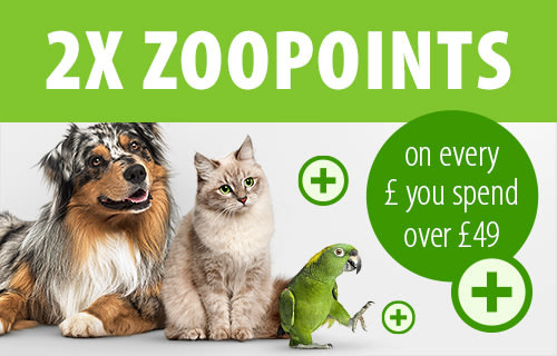 Pet Supplies At Zooplus Online Pet Shop Pet Food Pet Accessories