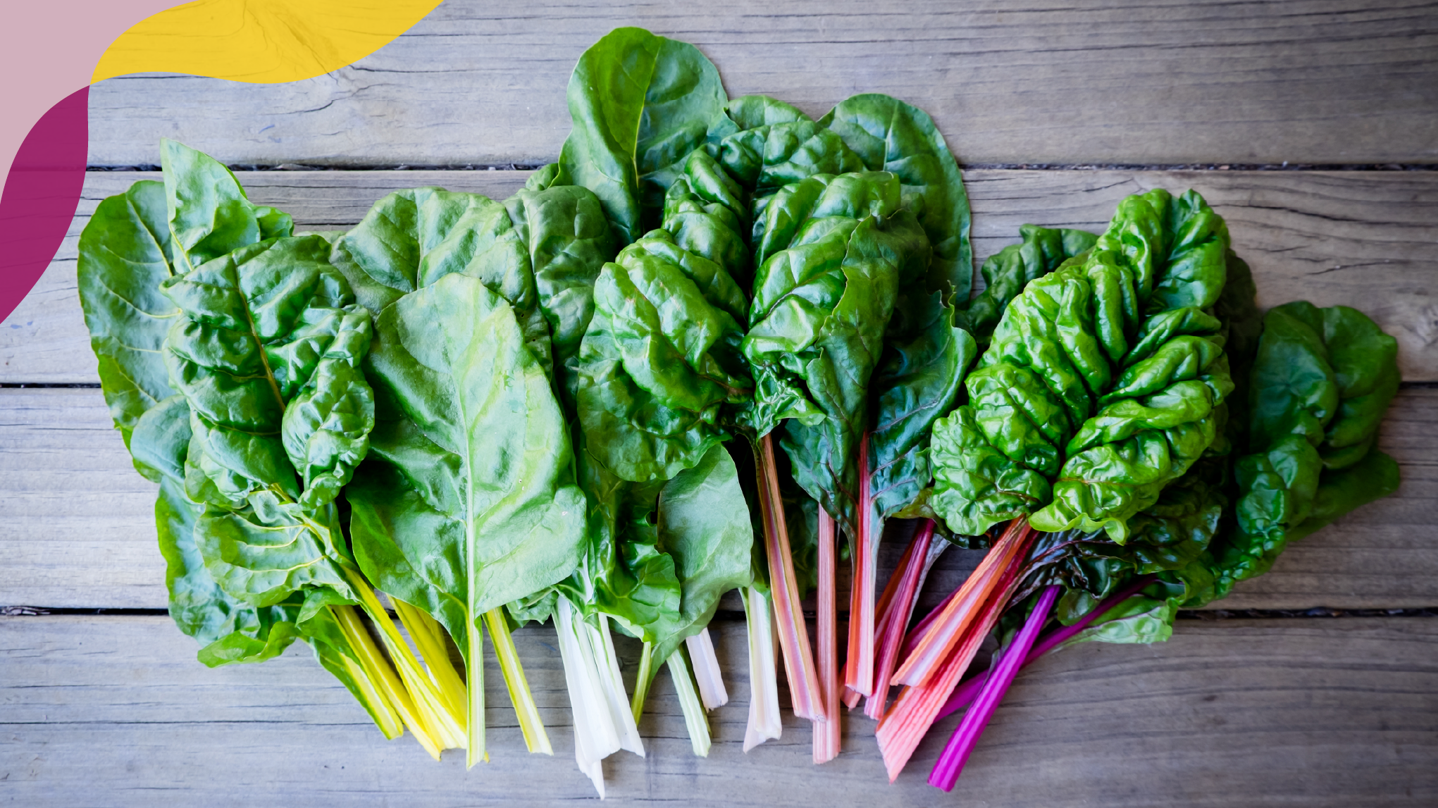 Swiss Chard and Rainbow Chard - Leafy Greens